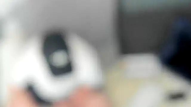 stillwild online show from July 10, 2:20 pm