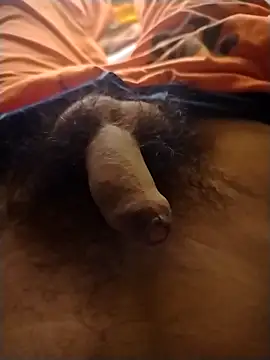 Luiz 097 online show from February 6, 6:43 am