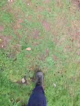 FreezingTie850 online show from April 16, 7:52 am