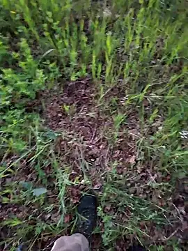 FreezingTie850 online show from June 21, 8:47 pm