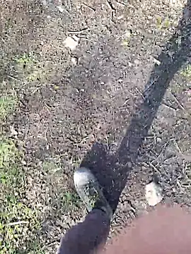 FreezingTie850 online show from March 11, 3:08 pm