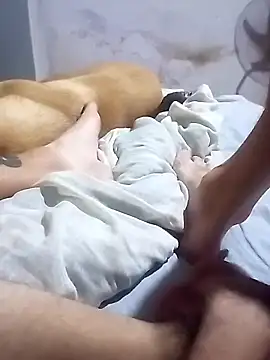 El22 1431 online show from December 3, 5:46 am