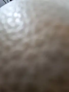 Kamarasa69 online show from December 18, 8:54 am