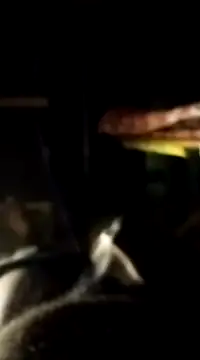 Snapshot of findmemylove chatting on January 7, 7:06 pm findmemylove online show from January 7, 7:06 pm