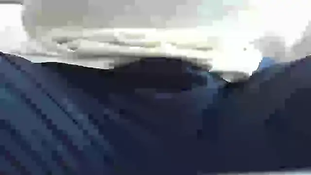 litllebear online show from December 29, 10:34 am