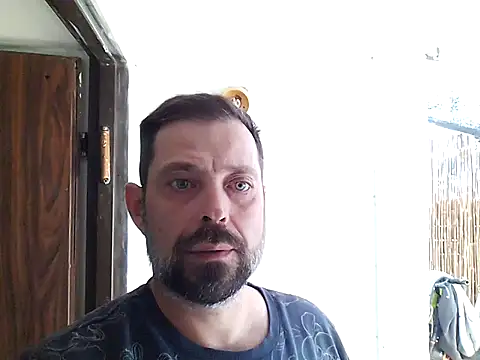 zefside42 online show from January 12, 12:20 pm