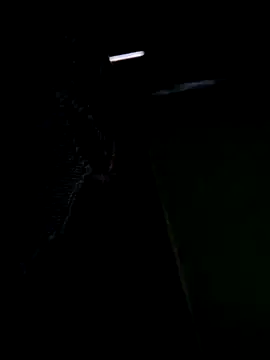 Snapshot of sexoooj chatting on October 21, 2:58 am sexoooj online show from October 21, 2:58 am