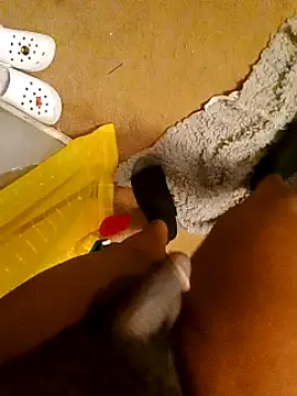 freakniknutty online show from October 3, 2:33 pm