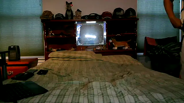 pimpdaddy4ever online show from February 26, 10:00 pm