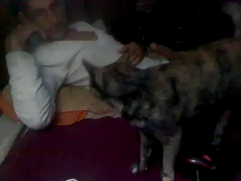 p u d i m online show from February 12, 8:31 am