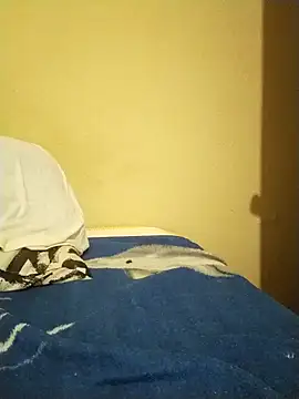 Jrrj2024 online show from April 26, 12:35 pm