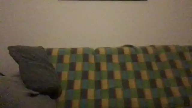 Totipro69 online show from December 4, 10:19 pm