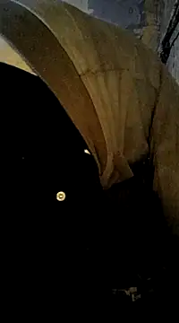 Snapshot of ListedLoin chatting on December 27, 5:26 pm ListedLoin online show from December 27, 5:26 pm