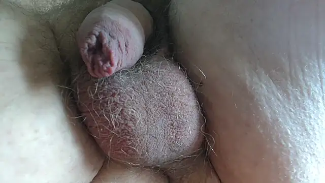 toptugger online show from October 9, 10:53 am