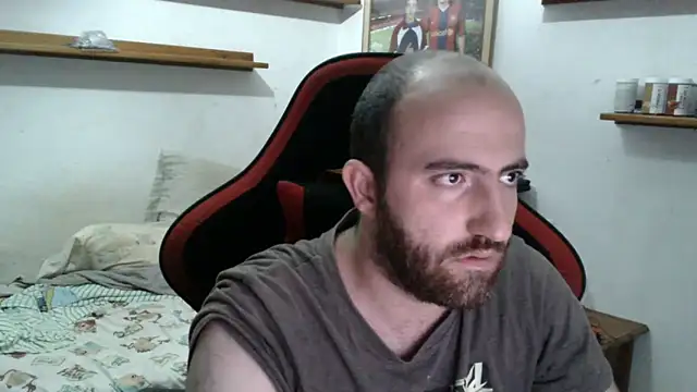 arrow 78 online show from November 8, 8:01 pm