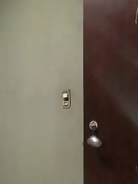 dolariano online show from January 31, 9:16 pm