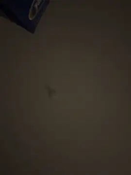 Malandralle online show from April 4, 8:55 am