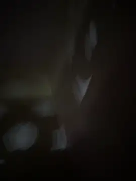 Malandralle online show from October 29, 9:45 am