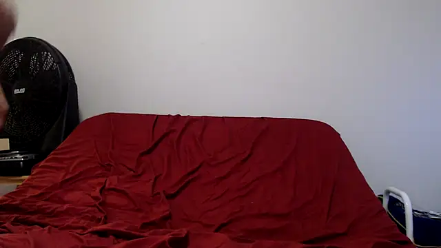 Archie torres online show from January 28, 10:45 am