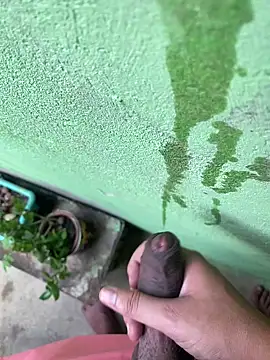 king cum  online show from December 26, 12:16 pm