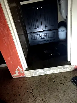 VL25DN26 online show from November 28, 8:38 am