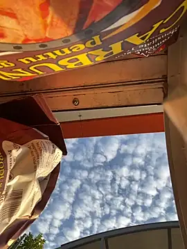 baramadalin online show from September 27, 4:43 am