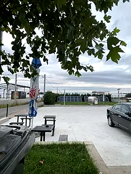 baramadalin online show from October 13, 4:29 am