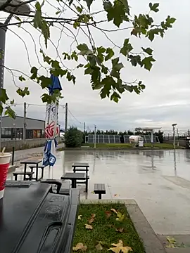 baramadalin online show from December 1, 5:54 am