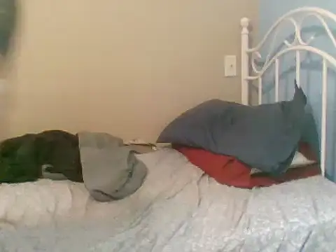 SmokingSloth online show from March 9, 5:06 pm