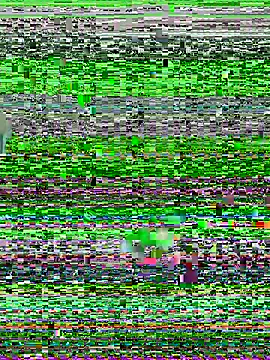 YawlingJingoist online show from March 19, 11:19 pm