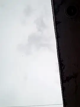 Professor Leo  online show from February 16, 11:05 pm