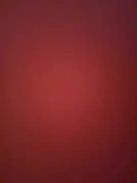 tomiusd online show from January 12, 7:01 am