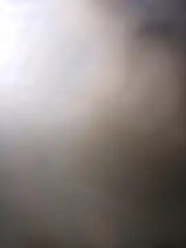 taylorWiiz online show from March 7, 2:37 pm