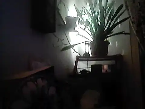 Bigpenis6y online show from December 30, 3:57 pm