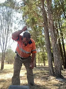 ausbod online show from January 5, 3:11 am