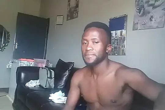 bull Giant online show from December 8, 11:46 am