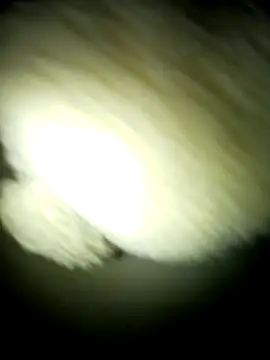 Sexybeer2005 online show from January 19, 8:05 am