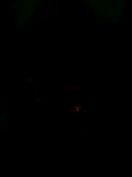 Long Laster online show from February 12, 6:03 pm