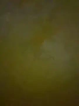 HeviZ online show from January 21, 8:21 pm