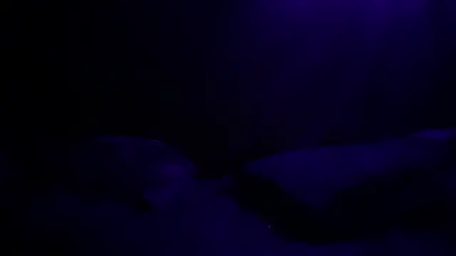 BigMac1596 online show from October 18, 2:00 pm