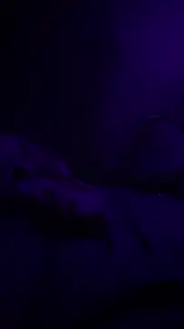 BigMac1596 online show from November 2, 3:27 pm