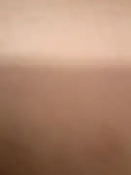 rayaarmando423736 online show from November 19, 12:49 pm