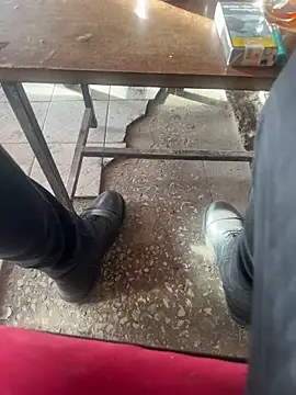 homidor online show from January 19, 1:01 pm