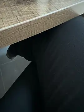 homidor online show from January 4, 2:04 pm