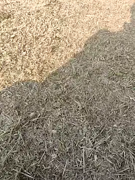 Gururonny07 online show from January 16, 7:49 am