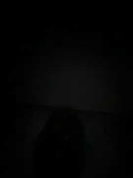 Snapshot of islandvybee55 chatting on December 18, 9:47 am islandvybee55 online show from December 18, 9:47 am