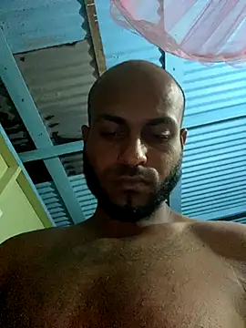 Snapshot of islandvybee55 chatting on October 4, 3:22 am islandvybee55 online show from October 4, 3:22 am