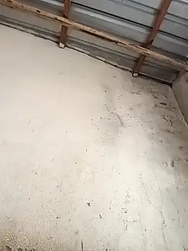 Mzansiboy4 online show from April 14, 9:31 am