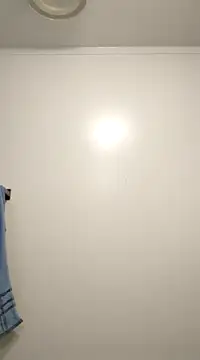 jtw14 online show from February 11, 4:46 pm