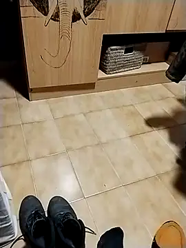 minitranca online show from October 28, 8:22 pm